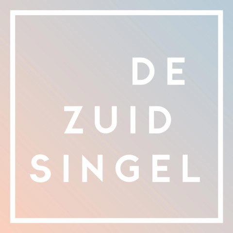 De zuidsingel middelburg logo